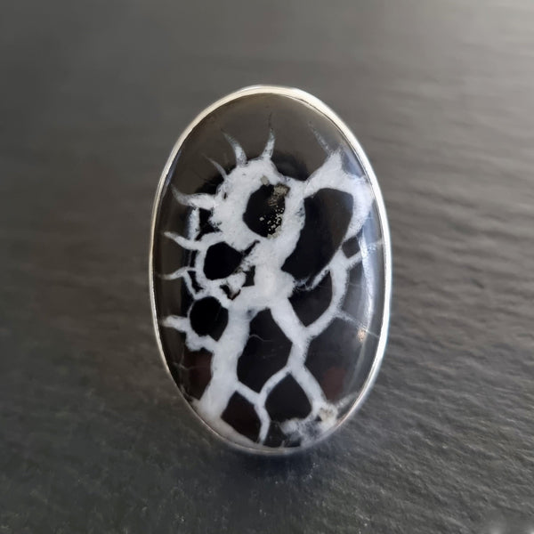 Natural Black Septarian gemstone displaying striking black, brown and cream cracked patterns formed over millions of years
